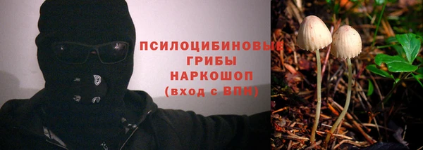 ПСИЛОЦИБИНОВЫЕ ГРИБЫ Белоозёрский