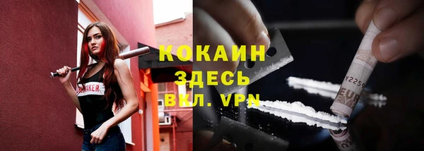 СК Белокуриха