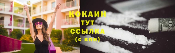 ПСИЛОЦИБИНОВЫЕ ГРИБЫ Белоозёрский